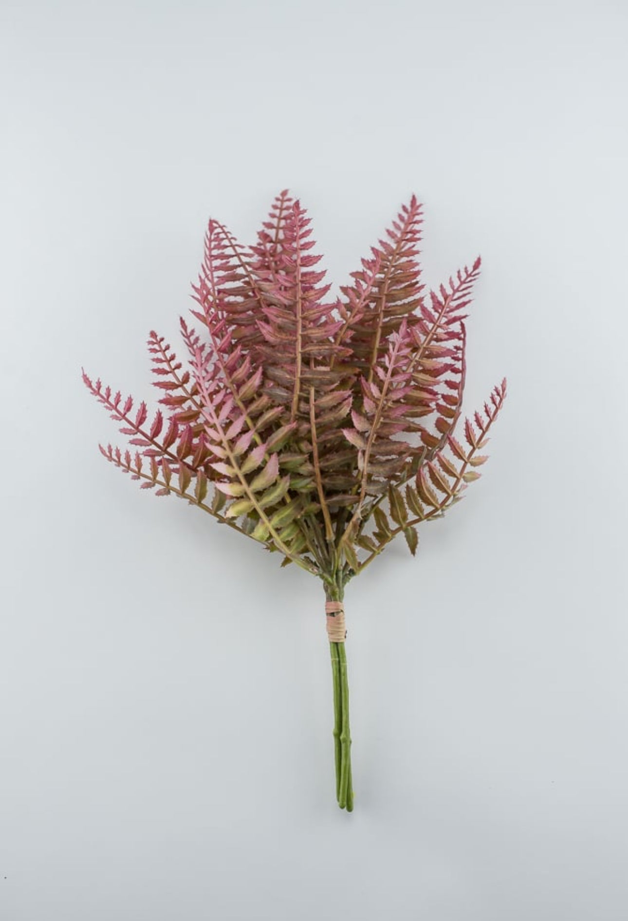 Pink tipped fern greenery bush - Greenery MarketFL6355-MAUG