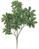 Pittosporum variegated faux branch / spray - Greenery MarketFL1525 CG