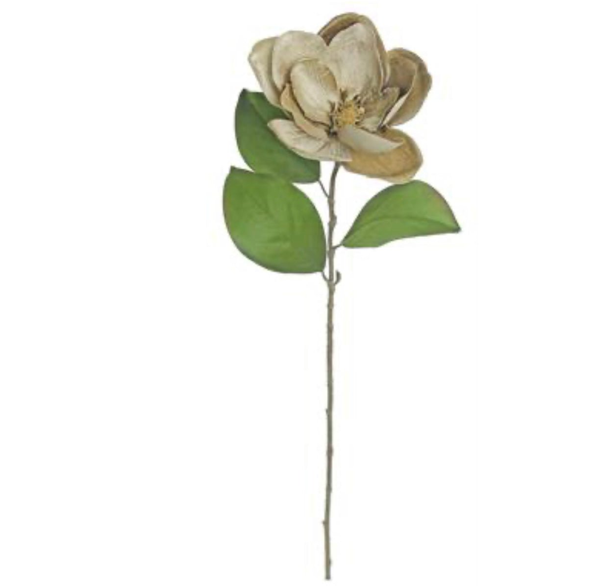 Platinum taupe velvet magnolia stem - Greenery MarketArtificial Floraxh530pt