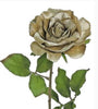 Platinum velvet rose stem - Greenery MarketXH531-R