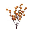 Pompom bush - soft brown - Greenery MarketArtificial Flora56692OR