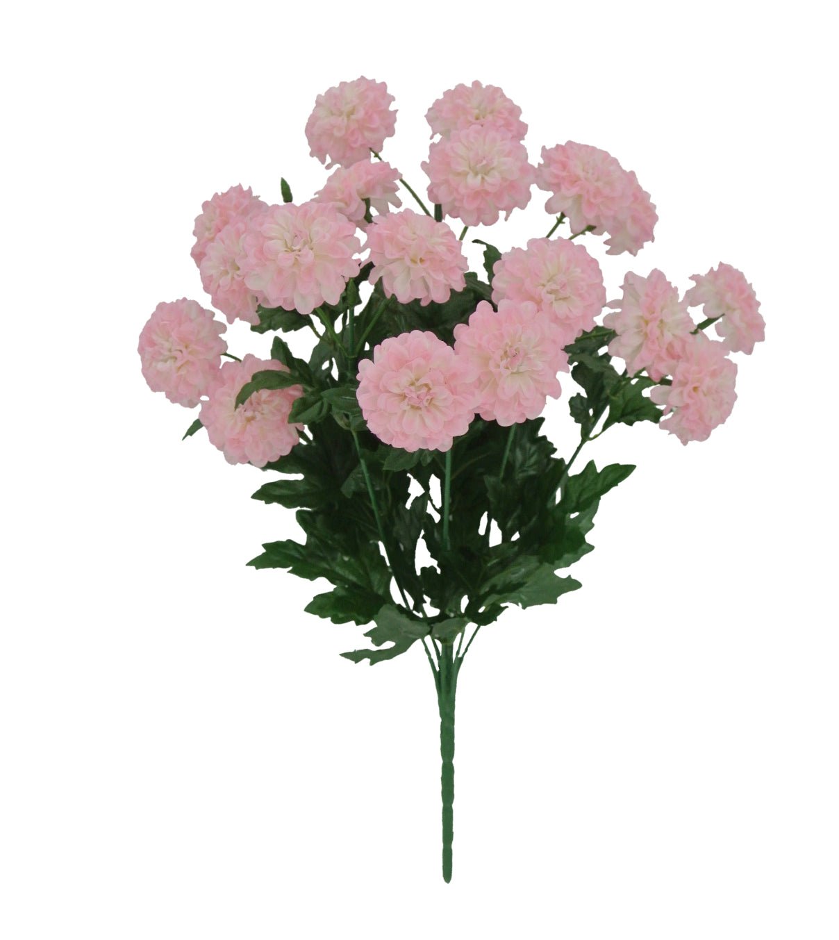 PomPom zinnia bush - pink - Greenery Market