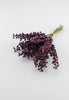 Purple Berry bundle - Greenery Market2110152PP