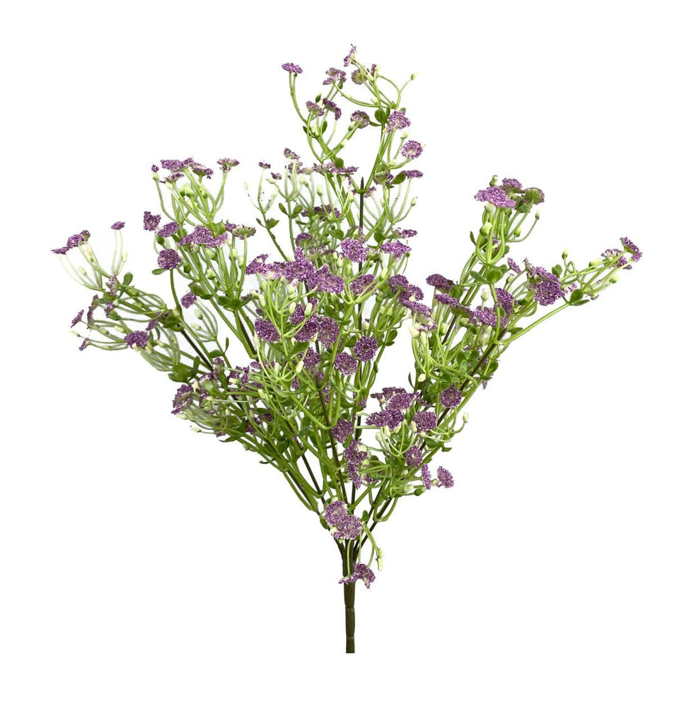 Purple gypsum bush - Greenery Market