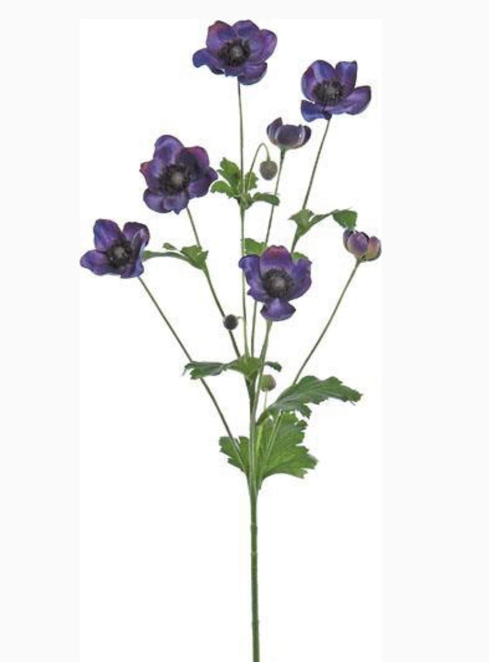 Purple Japanese anemone spray - Greenery MarketDfa1052-pu