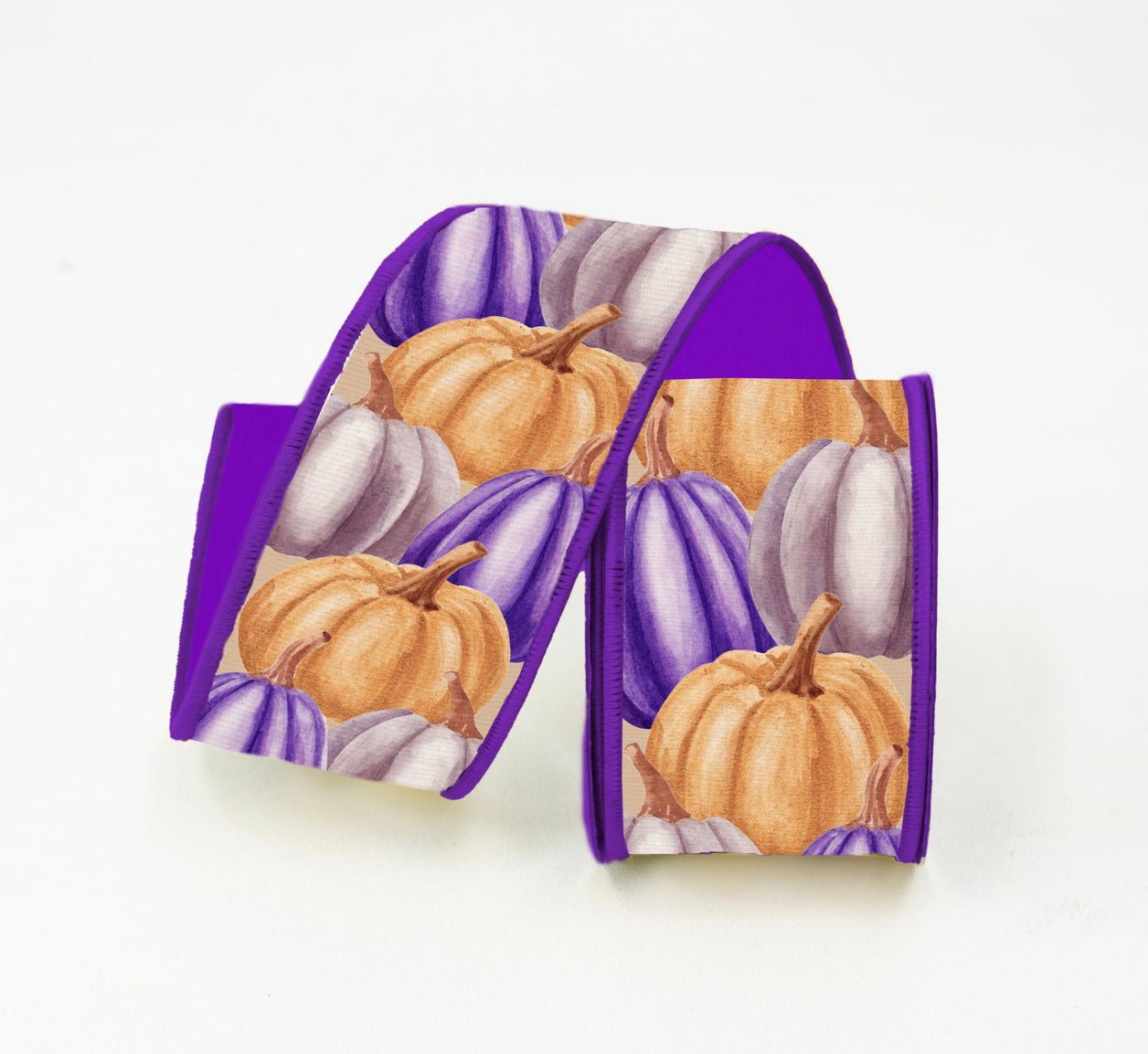 Purple pumpkins 2.5” wired ribbon - Greenery MarketRibbons & TrimRk251-32
