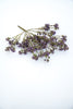 Purple seeds berry bush - Greenery Market6087-pug