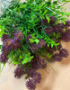 Purple thistle greenery bush - Greenery Market13366pu