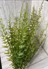 PVC, artificial, tall grass bush - Greenery MarketArtificial Flora25783