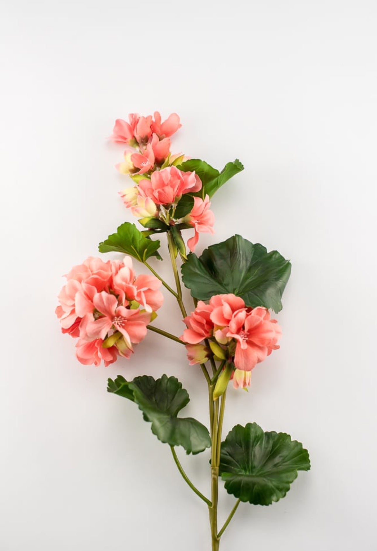 Real touch geranium spray, coral - Greenery Market2285221CO