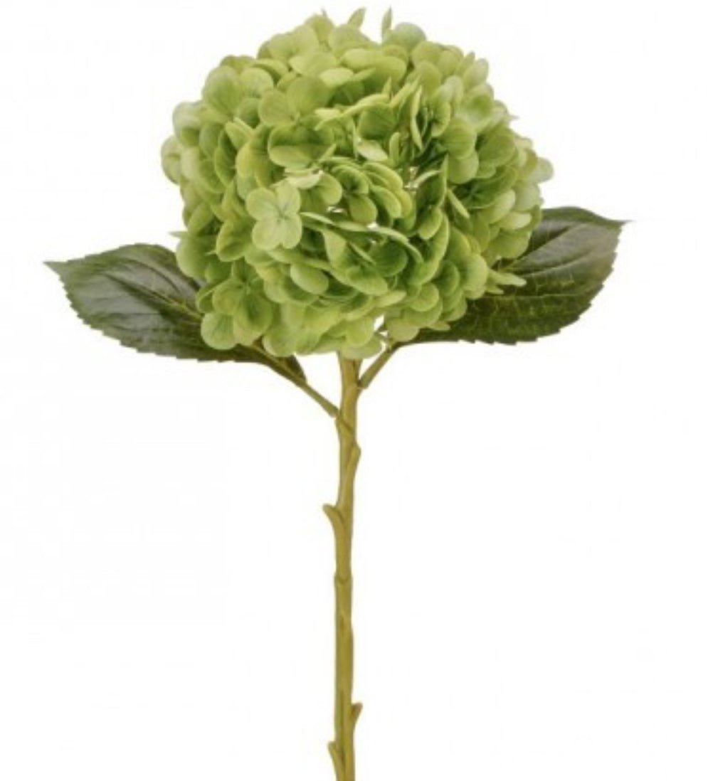 Real touch, Hydrangea stem - green - Greenery MarketMTF24138 GREEN