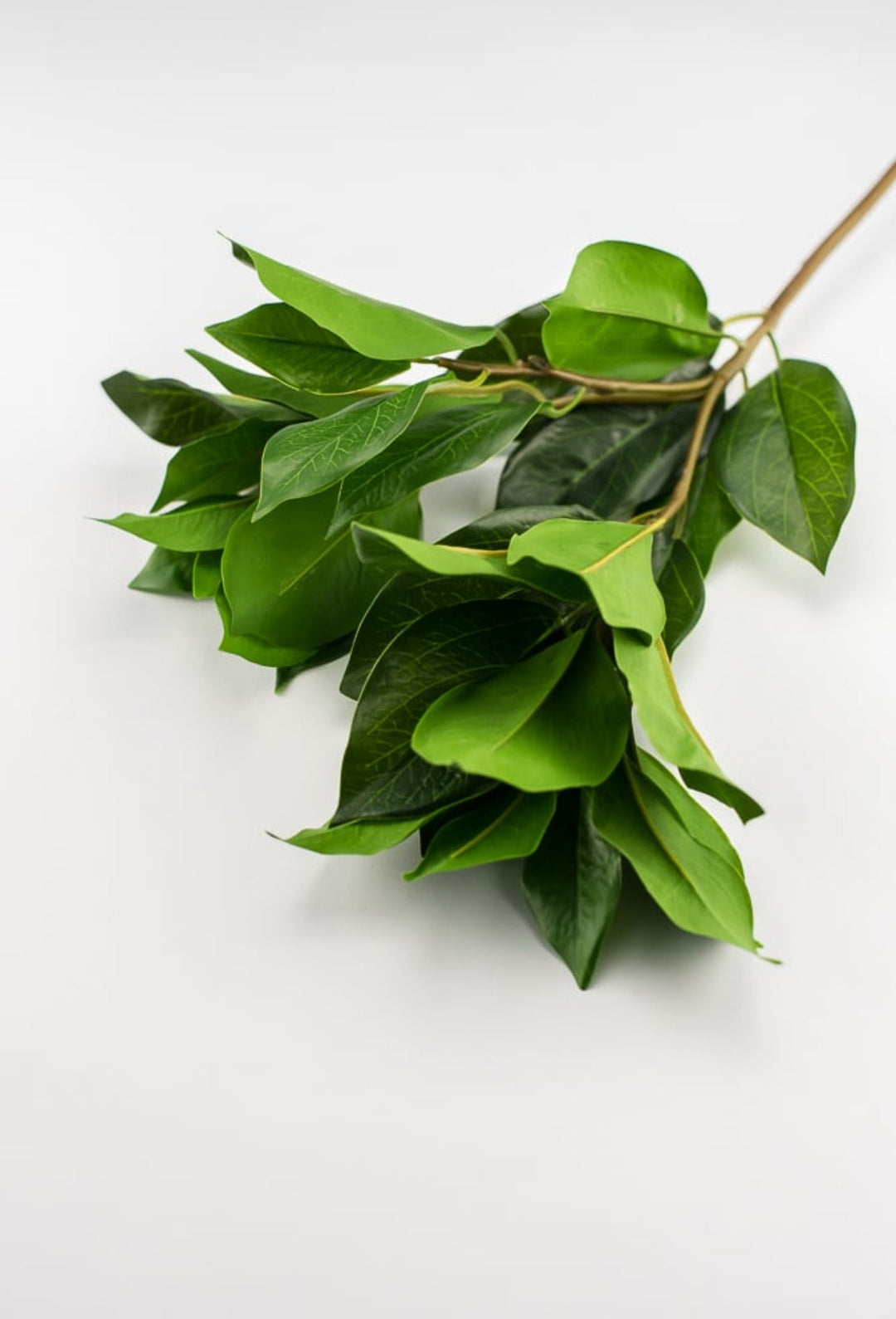 Real touch, laurel leaves spray - Greenery Market2140055gr