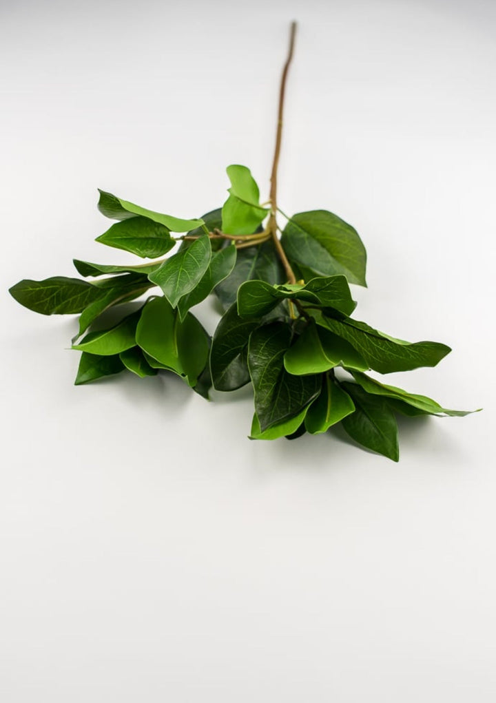 Real touch, laurel leaves spray - Greenery Market2140055gr