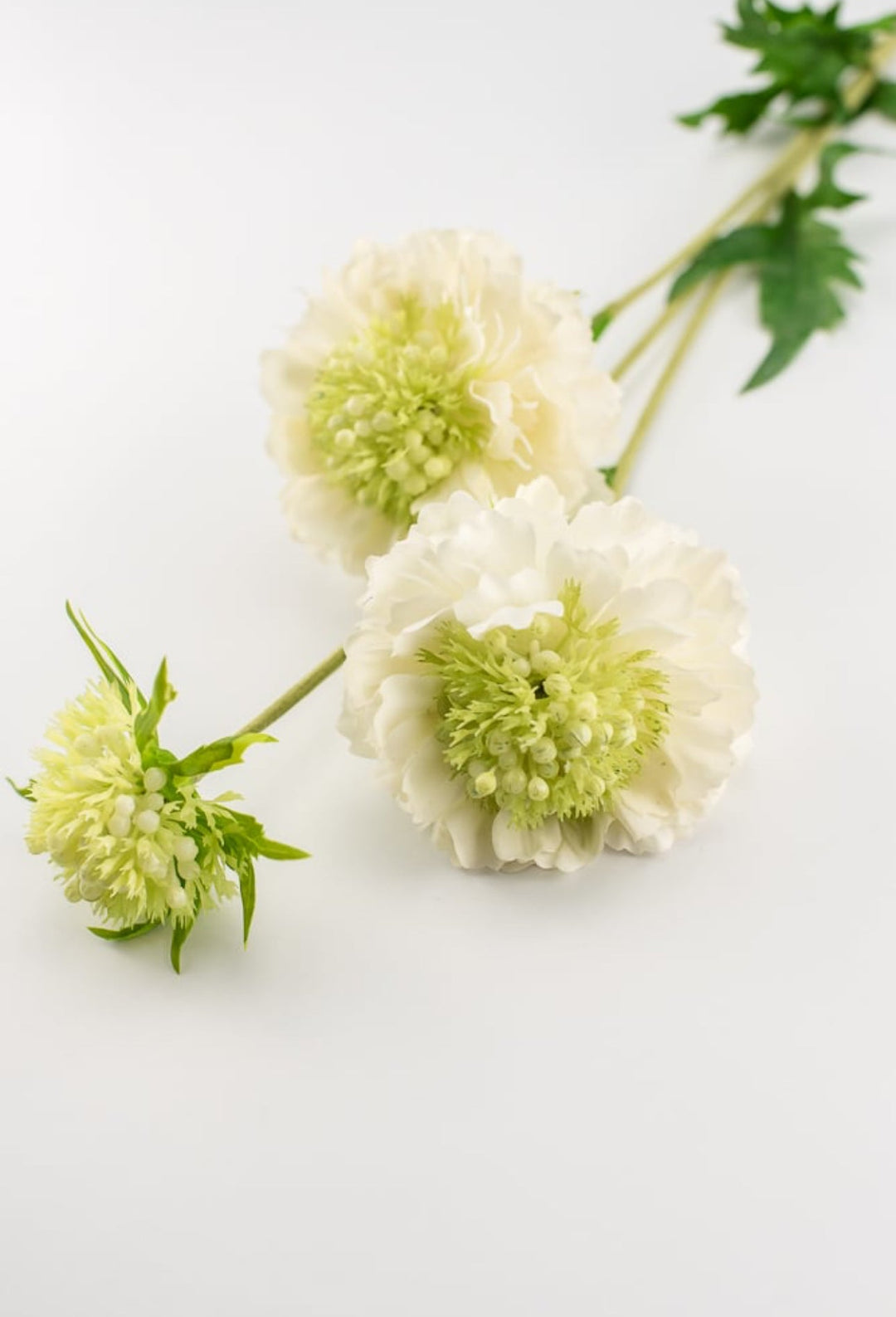 Real touch, Mini scabiosa spray - white - Greenery Market6145-W