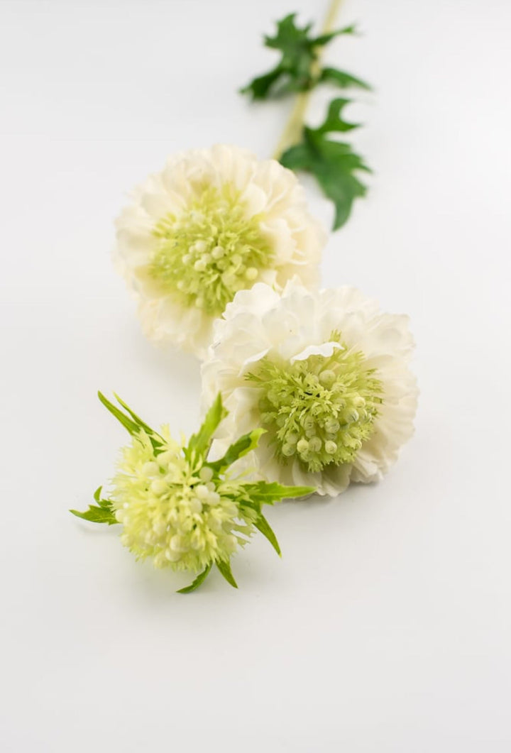 Real touch, Mini scabiosa spray - white - Greenery Market6145-W