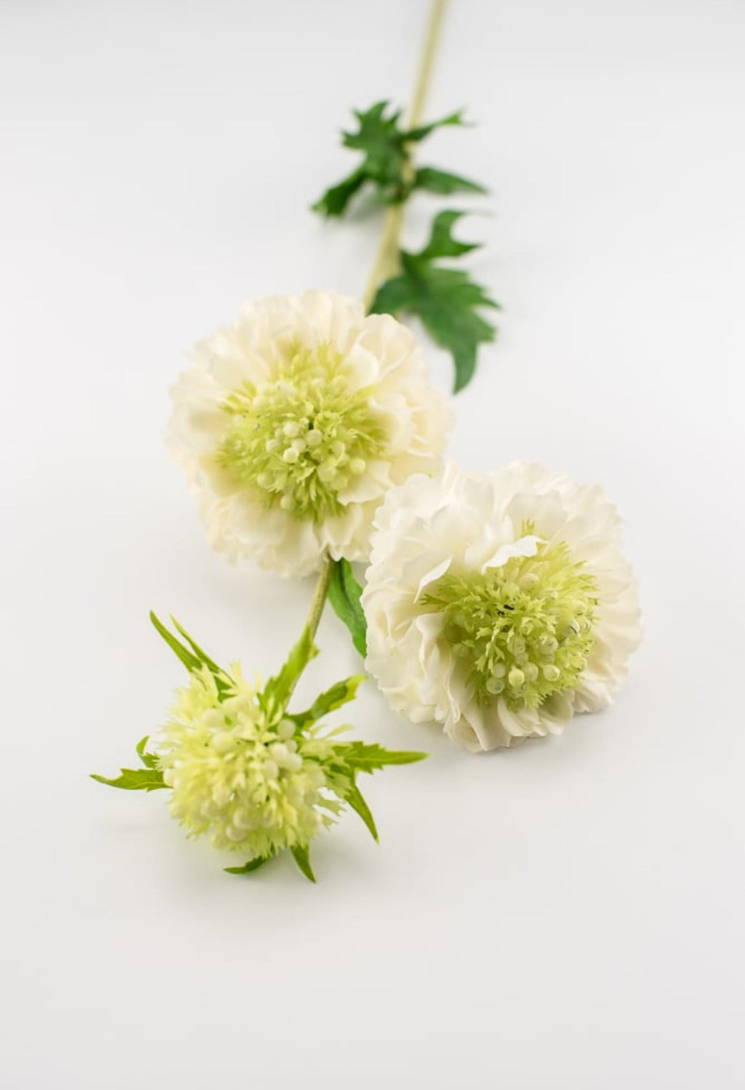 Real touch, Mini scabiosa spray - white - Greenery Market6145-W