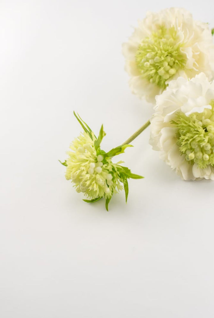 Real touch, Mini scabiosa spray - white - Greenery Market6145-W