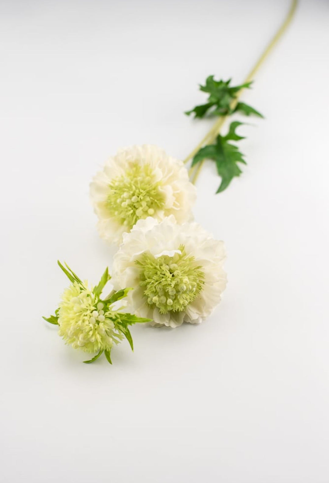 Real touch, Mini scabiosa spray - white - Greenery Market6145-W