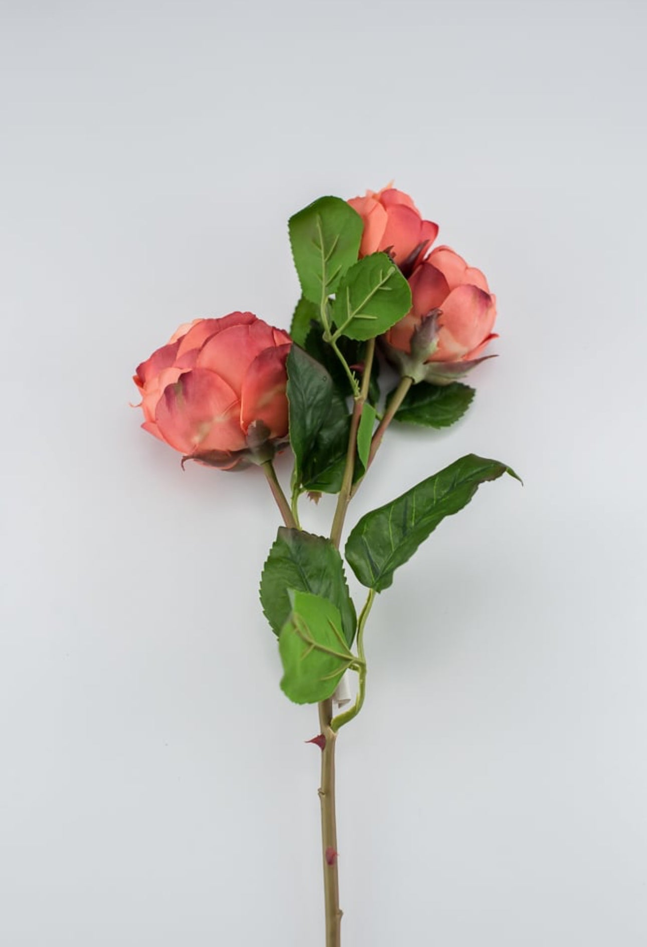 Real touch, orange, cabbage rose spray - Greenery Market2251002OR