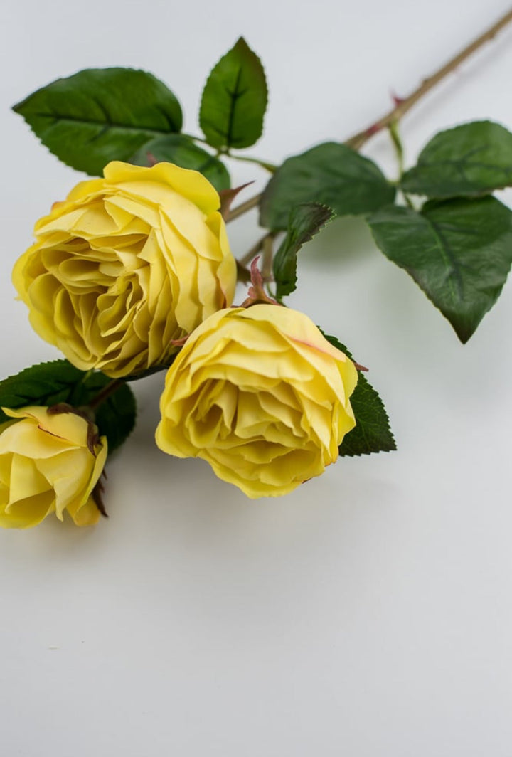 Real touch, yellow cabbage rose spray - Greenery Market2251002YL