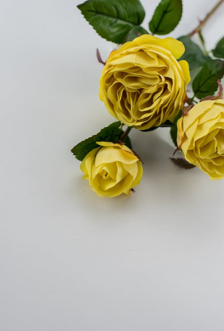 Real touch, yellow cabbage rose spray - Greenery Market2251002YL