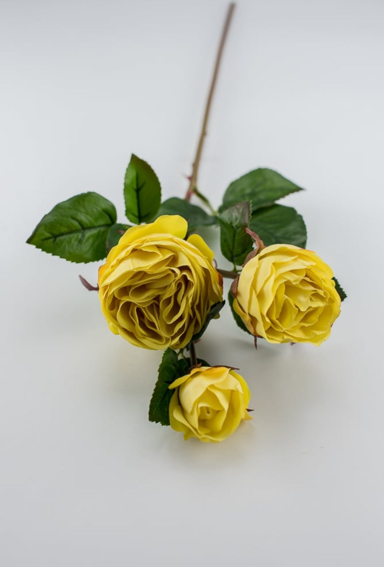 Real touch, yellow cabbage rose spray - Greenery Market2251002YL