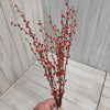 Red berries and twigs bush - Greenery MarketWinter and ChristmasEC4063