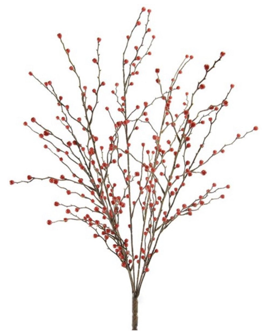 Red berries and twigs bush - Greenery MarketWinter and ChristmasEC4063