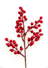 Red berries pick - Greenery MarketBerries83568RD