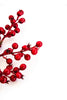 Red berries pick - Greenery MarketBerries83568RD