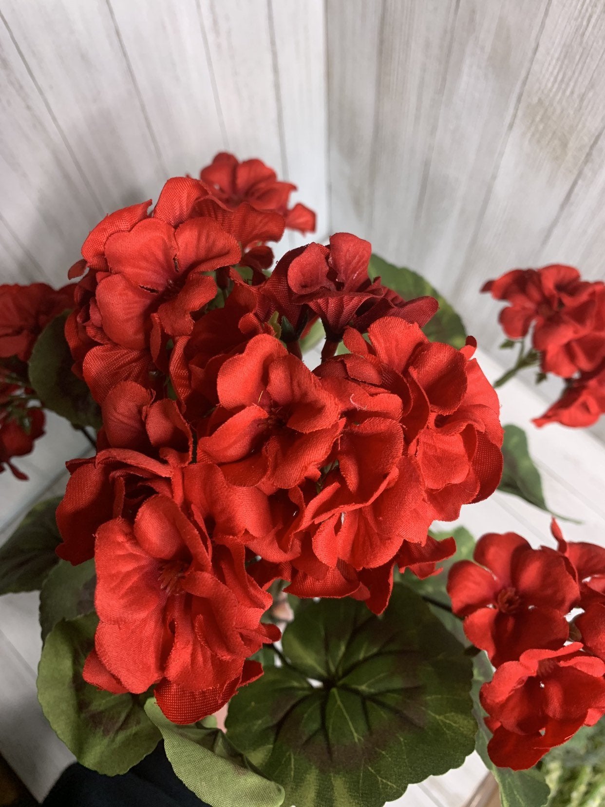 Red Geranium, Artificial geraniums - Greenery Marketartificial flowers25761