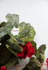 Red Geranium, Artificial geraniums - Greenery Marketartificial flowers30631rd