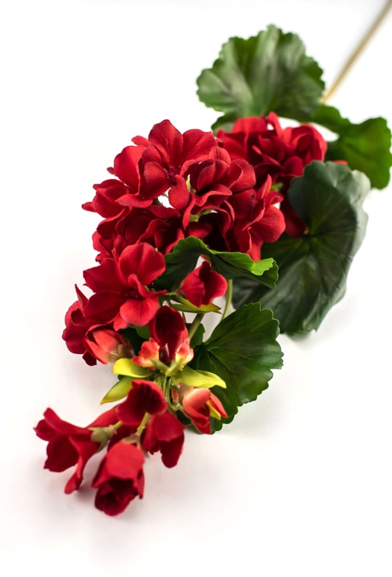 Red Geranium spray, real touch - Greenery Marketartificial flowers2285221RD