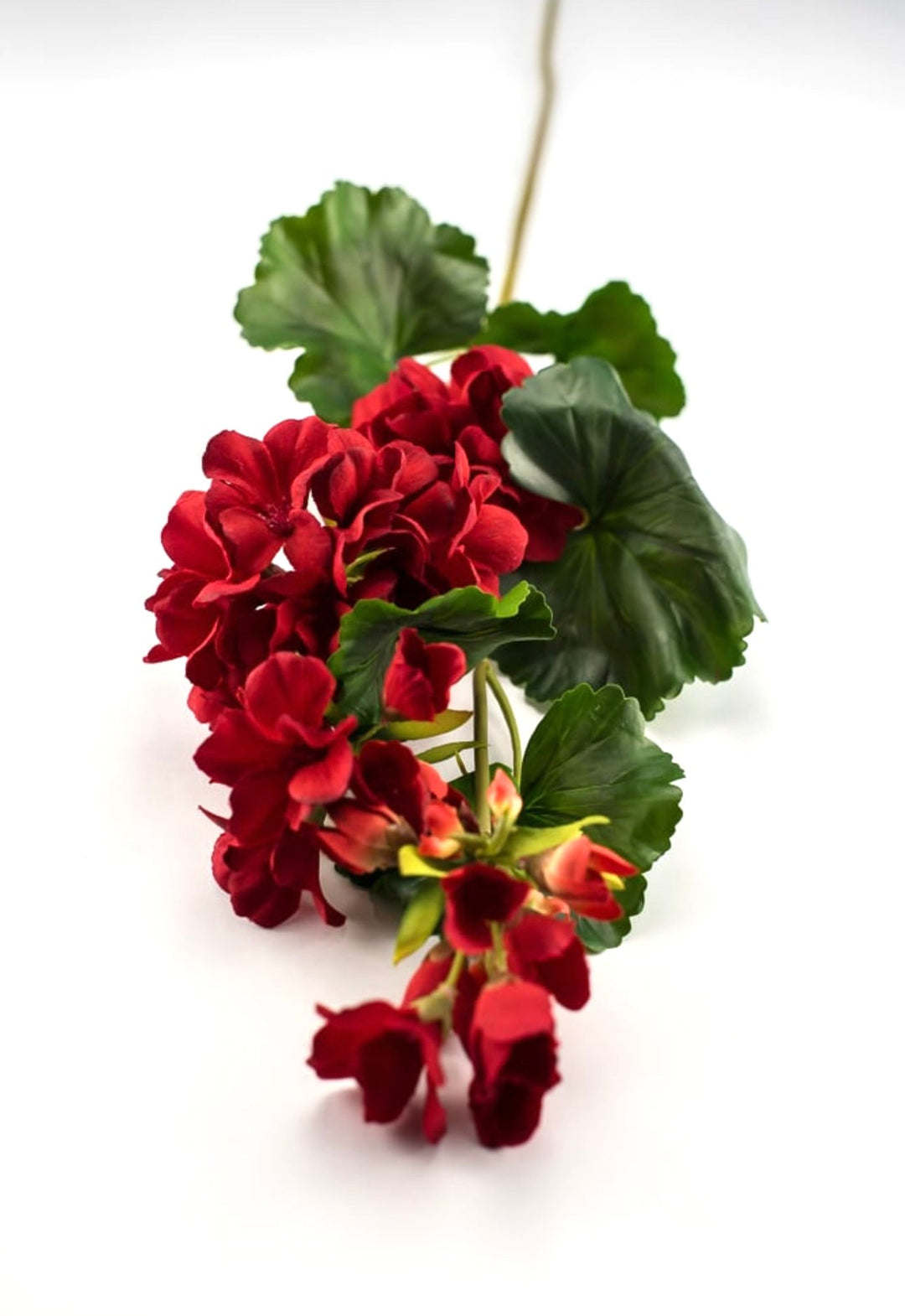 Red Geranium spray, real touch - Greenery Marketartificial flowers2285221RD