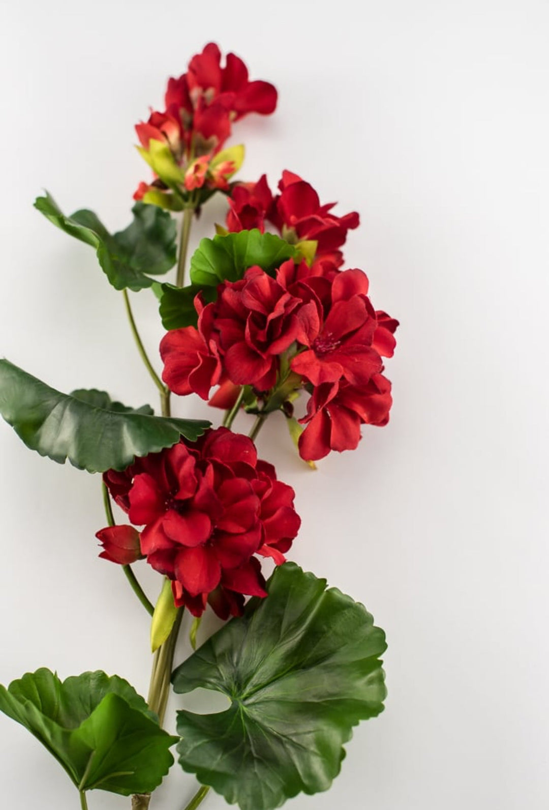 Red Geranium spray, real touch - Greenery Marketartificial flowers2285221RD