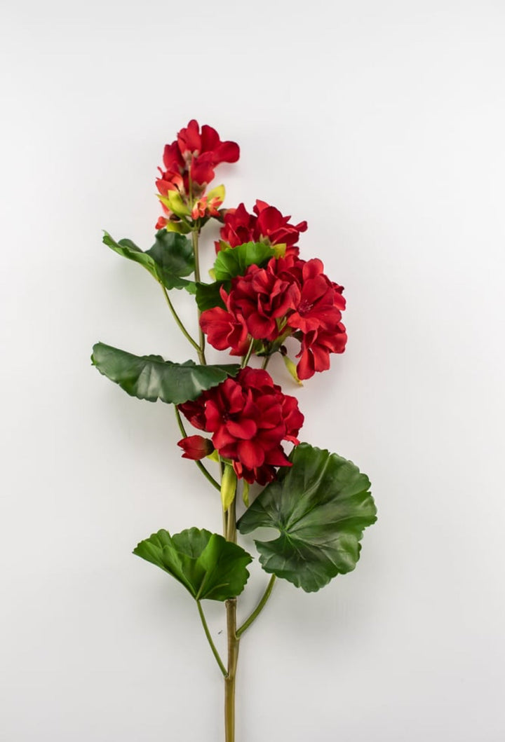 Red Geranium spray, real touch - Greenery Marketartificial flowers2285221RD