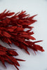 Red glittered ruscus leaves bush - Greenery Market83626-RD