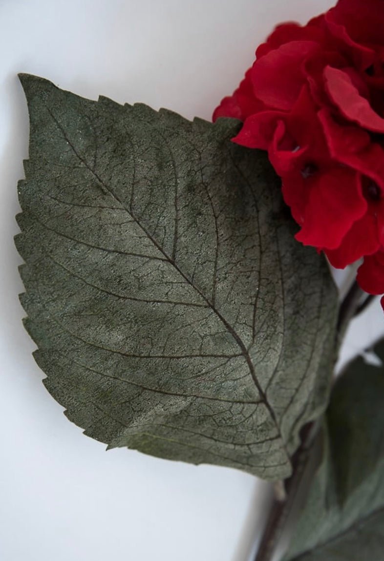 Red velvet hydrangea stem - Greenery Market176589