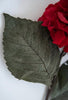 Red velvet hydrangea stem - Greenery Market176589