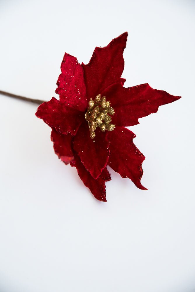 Red velvet with gold center poinsettia pick - Greenery MarketNF405724