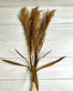 Rice grass 3 pc bundle - gold - Greenery MarketArtificial Flora26142