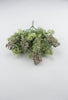 Sage green lace leaf greenery bush - Greenery MarketFL4522-SG
