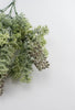 Sage green lace leaf greenery bush - Greenery MarketFL4522-SG