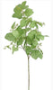 Seeding eucalyptus spray - Greenery MarketFl4800-lg