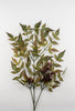 Seeding nandina spray with berries, greenery burgundy - Greenery Marketgreeneryfl1090gbu