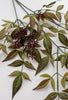 Seeding nandina spray with berries, greenery burgundy - Greenery Marketgreeneryfl1090gbu