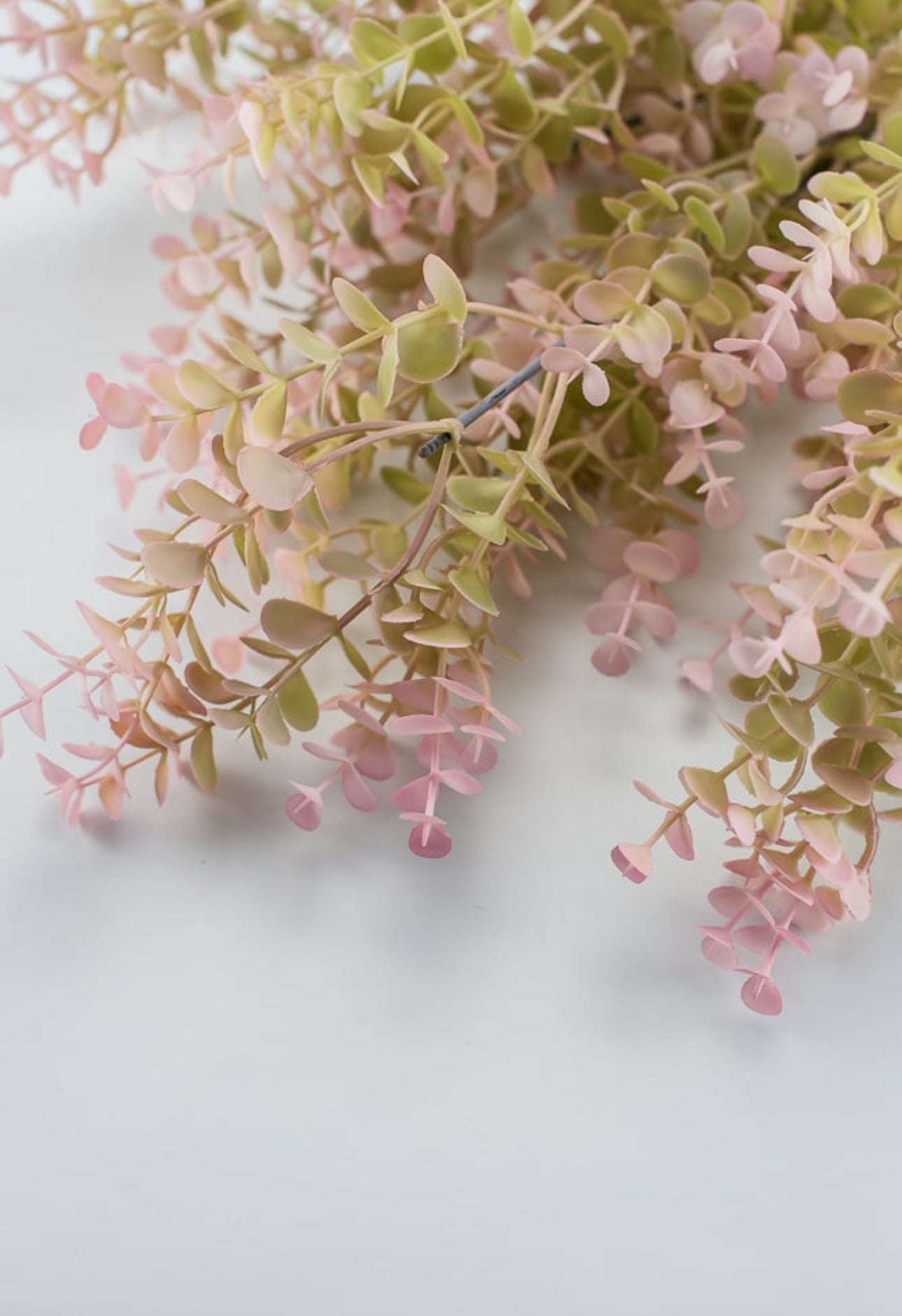 Small leaf eucalyptus bush- blush pink tipped - Greenery Market13583pk