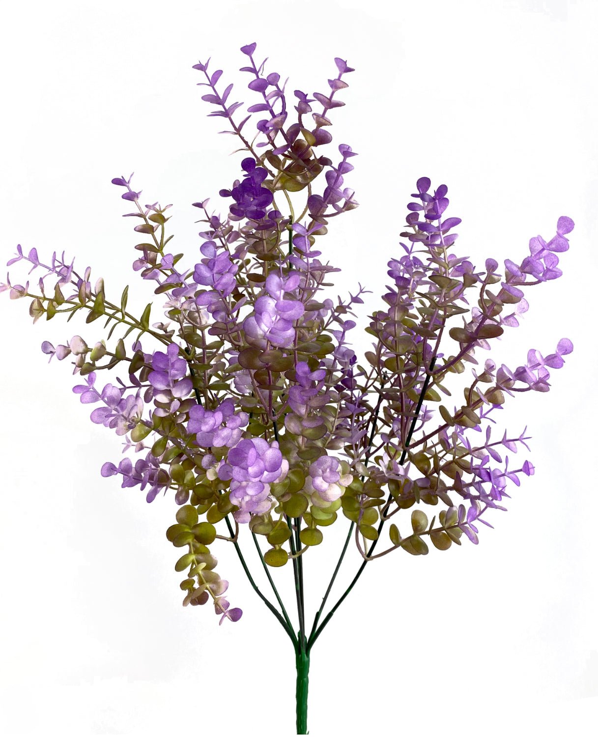 Small Leaf Eucalyptus Bush Purple Tipped Greenery Market small-leaf-eucalyptus-bush-purple-tipped-greenery-market