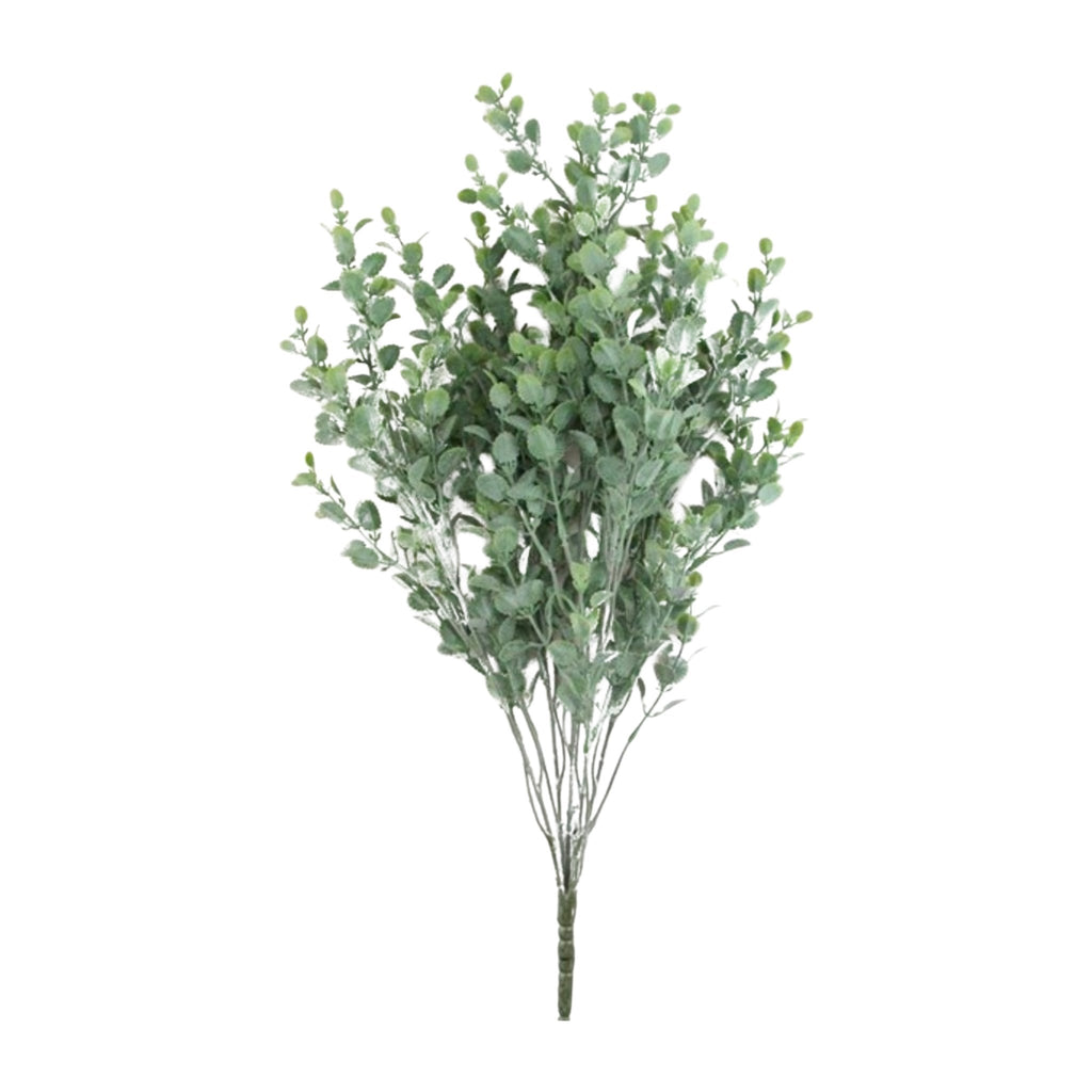 Small leaf greenery bush - - Greenery Market