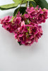 Snowball hydrangea spray - cerise pink - Greenery Market6222-CER